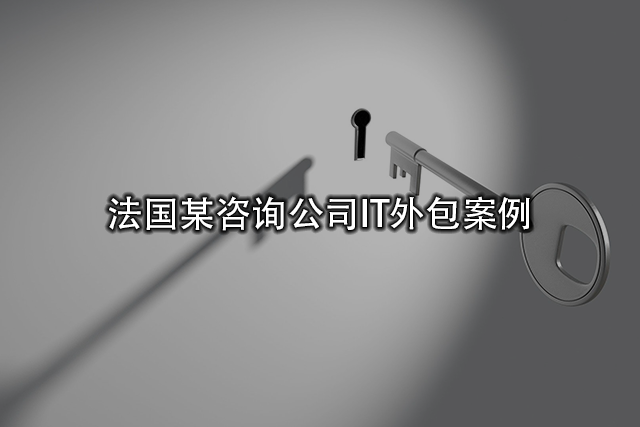 某法國(guó)咨詢公司IT外包案例